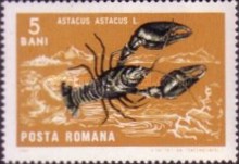 Stamp 2530