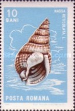 Stamp 2531