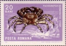 Stamp 2532