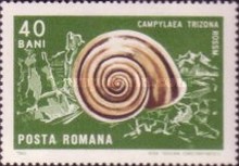 Stamp 2533