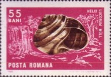 Stamp 2534