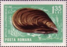 Stamp 2535