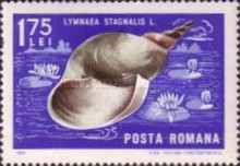 Stamp 2536