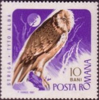 Stamp 2554