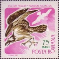 Stamp 2558