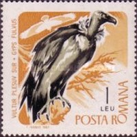 Stamp 2559