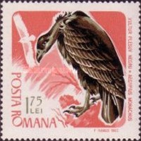 Stamp 2561