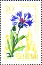 Stamp 2580