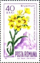 Stamp 2581