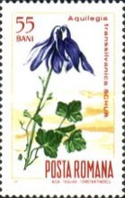 Stamp 2582