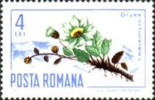 Stamp 2585