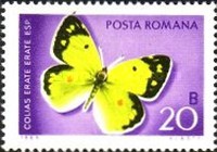 Stamp 2762