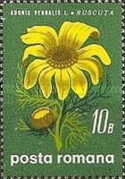 Stamp 2812