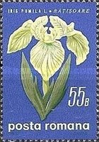 Stamp 2815