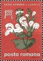 Stamp 2817