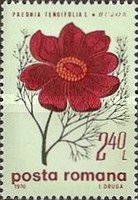 Stamp 2818