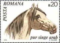 Stamp 2876