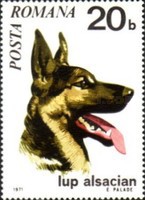 Stamp 2897