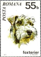 Stamp 2899