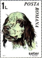 Stamp 2900