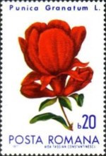 Stamp 2943