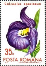 Stamp 2944