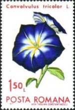 Stamp 2947