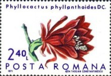 Stamp 2948