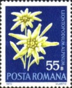 Stamp 3016