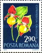 Stamp 3019