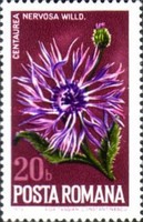 Stamp 3213