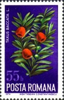 Stamp 3215