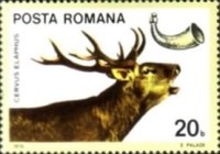 Stamp 3355