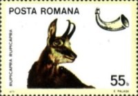 Stamp 3357