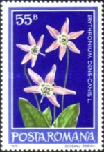 Stamp 3570