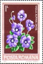 Stamp 3571