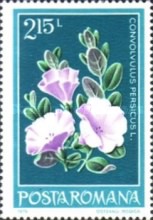 Stamp 3573