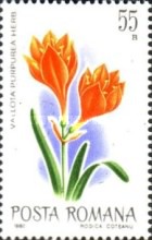 Stamp 3702