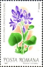 Stamp 3703