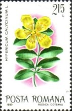 Stamp 3705