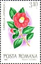 Stamp 3706