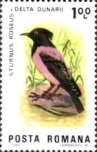 Stamp 3956