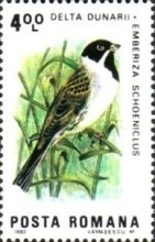 Stamp 3959