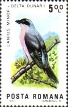 Stamp 3960