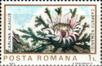 Stamp 3972