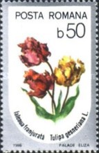 Stamp 4256