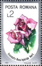 Stamp 4258