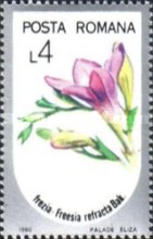 Stamp 4260