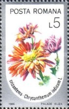 Stamp 4261