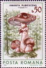 Stamp 4276